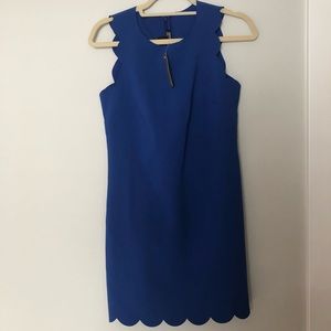 Jcrew scalloped cocktail dress in blue color NWT